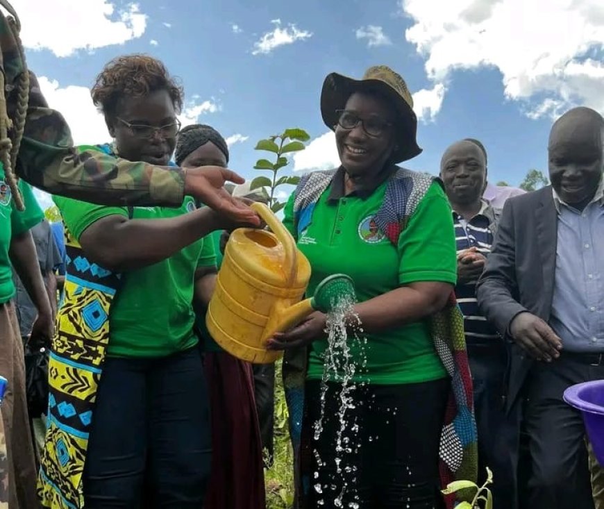 Women from  Vihiga and Kakamega Unite to Conserve Kakamega Rain Forest