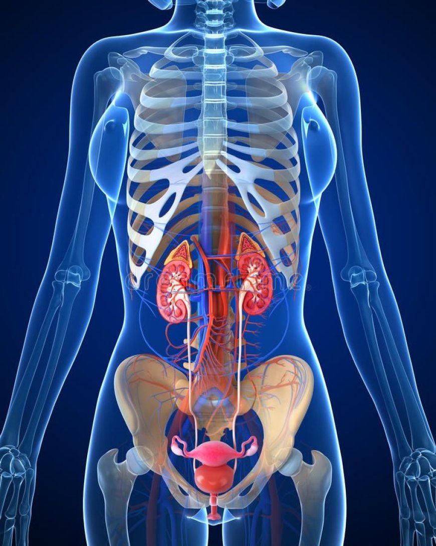 Understanding Fistula: Causes, Symptoms, and Treatment Options for a Common Yet Overlooked Disorder