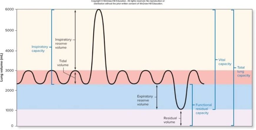 The Amazing World of Spirometry: A Deep Dive Into Breathtaking Technology