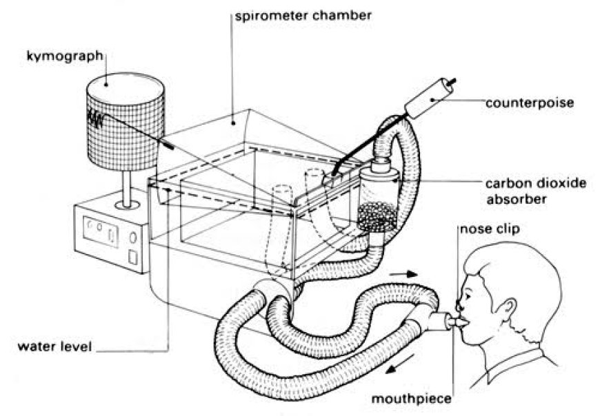 The Amazing World of Spirometry: A Deep Dive Into Breathtaking Technology